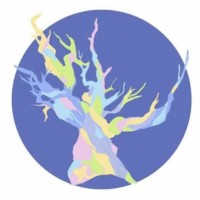 The Meraki Initiative Logo