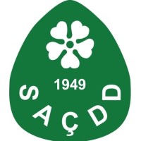 Süreyya Ağaoğlu Çocuk Dostları Derneği Logo