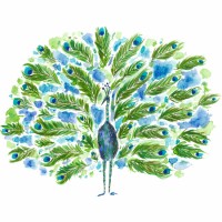 Peacock Voices Logo