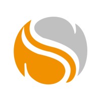 Slvr Wlf Digitale Ltd Logo