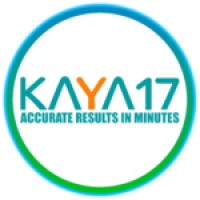 KAYA17 Logo