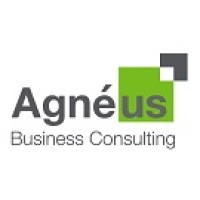 Agnéus Business Consulting Logo