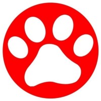 Doves Dog Academy Logo