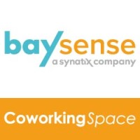 Baysense Logo