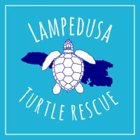 Lampedusa Turtle Rescue Logo