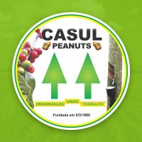 Cooperative Casul Logo