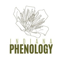 Indiana Phenology Logo