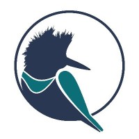 Kingfisher Metals Corp. (TSX-V:KFR) Logo
