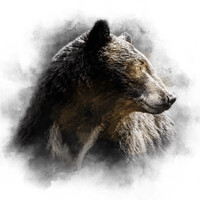 California Public Relations & Advocacy Logo