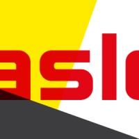 Hasler + Co AG Logo