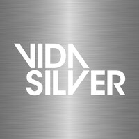 VIDA SILVER Logo