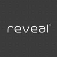 Reveal Lasers INDIA Logo