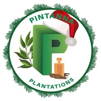 Pintanna Plantations Pvt Ltd Logo