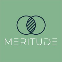 Meritude Logo