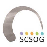 SCSOG Stichting Christelijk Speciaal Onderwijs Groningen Logo