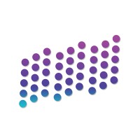 GoPublic.AI Logo