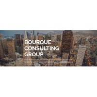 BCG Logo