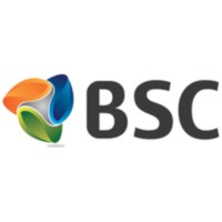 Beacons Systems Company (LTD) Logo