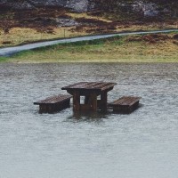Economics of Disasters and Climate Change Research Group | Te Āwhionukurangi Logo