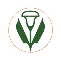 Good Judy Inc. Logo