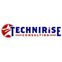 TechniRise Consulting Inc. Logo