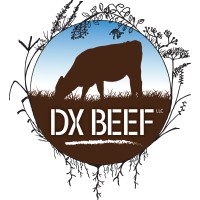 DX Beef, LLC Logo