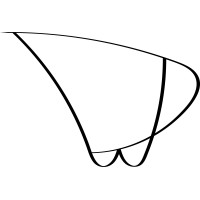 Fotostudio WD Logo
