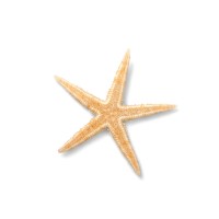 Coastal Hampers Logo