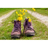 Sportief op Stap Wandeltraining Logo