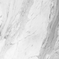 The Silver Stone Logo