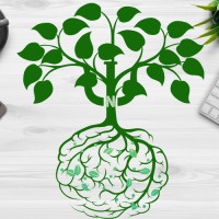 Insight Network Logo