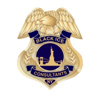 Black Ice Consultants Logo