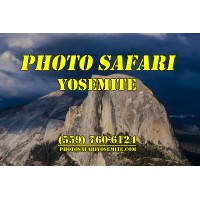 Photo Safari Yosemite Logo