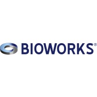 Bioworks Verfahrenstechnik Logo