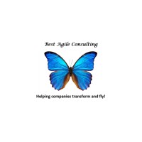 Best Agile Consulting, LLC Logo
