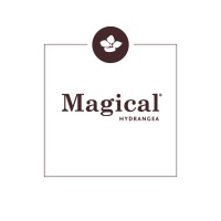 Magical Hydrangea Logo