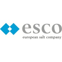esco france s.a.s. Logo