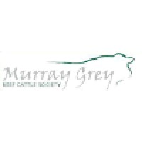 Murray Grey Beef Cattle Society Ltd Logo