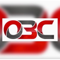 Orlando Business Consulting Logo