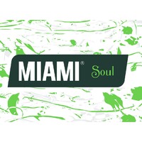 Miami Soul Logo