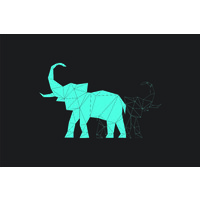 Wicked Elephants Co-op Logo