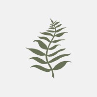 Organique Collective Logo