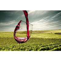 Vineyard Access Italia Logo