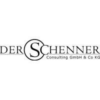 derSchenner Consulting GmbH & Co KG Logo
