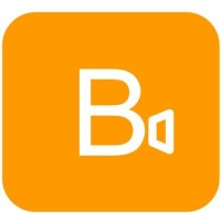 Bricolive Logo