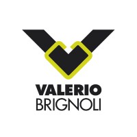 Valerio Brignoli srl Logo