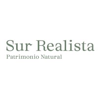 Sur Realista Logo