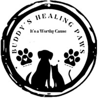 Buddys Healing Paws Logo