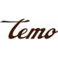 Temo Consulting Logo