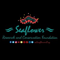 Seaflower Research and Conservation Foundation Logo